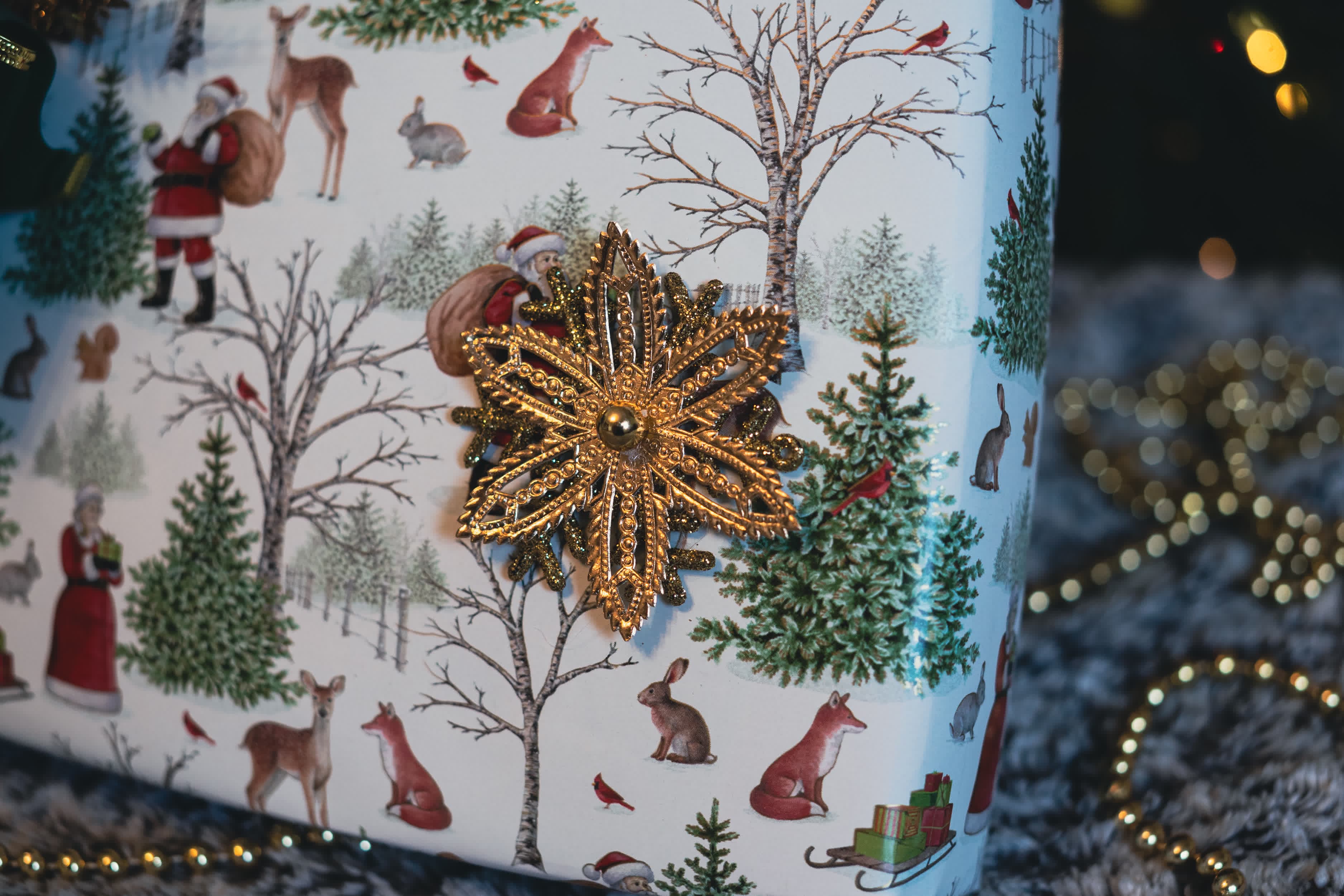 Gallery image 205663e5399bdeee